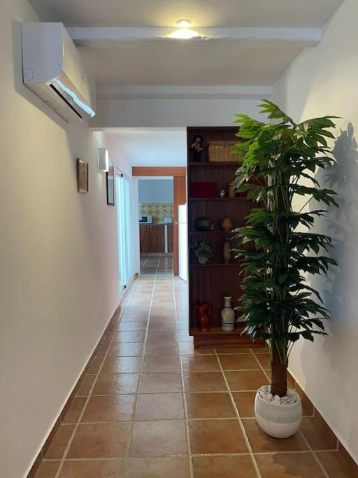 הוילה Mourão Casa Da Oliveira מראה חיצוני תמונה