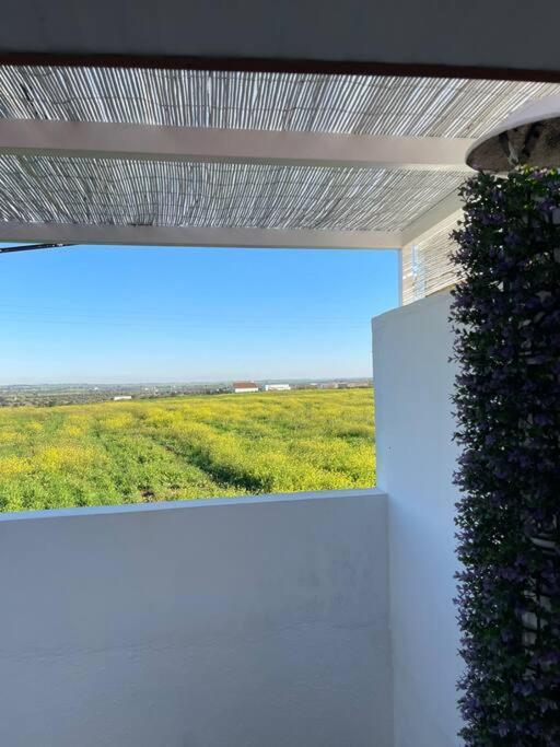 הוילה Mourão Casa Da Oliveira מראה חיצוני תמונה
